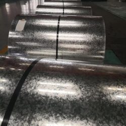 WhatsApp Image 2025-07-22 at 5.50.06 PM (2)