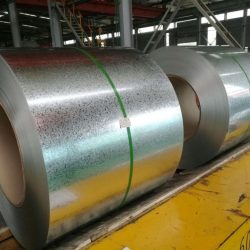 WhatsApp Image 2025-07-22 at 5.50.06 PM (3)