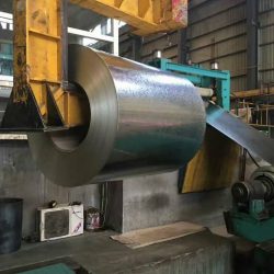 WhatsApp Image 2025-07-22 at 5.50.06 PM