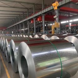 WhatsApp Image 2025-07-22 at 5.50.07 PM (1)