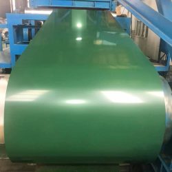 WhatsApp Image 2025-07-22 at 5.51.01 PM