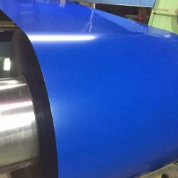 WhatsApp Image 2025-07-22 at 5.51.02 PM